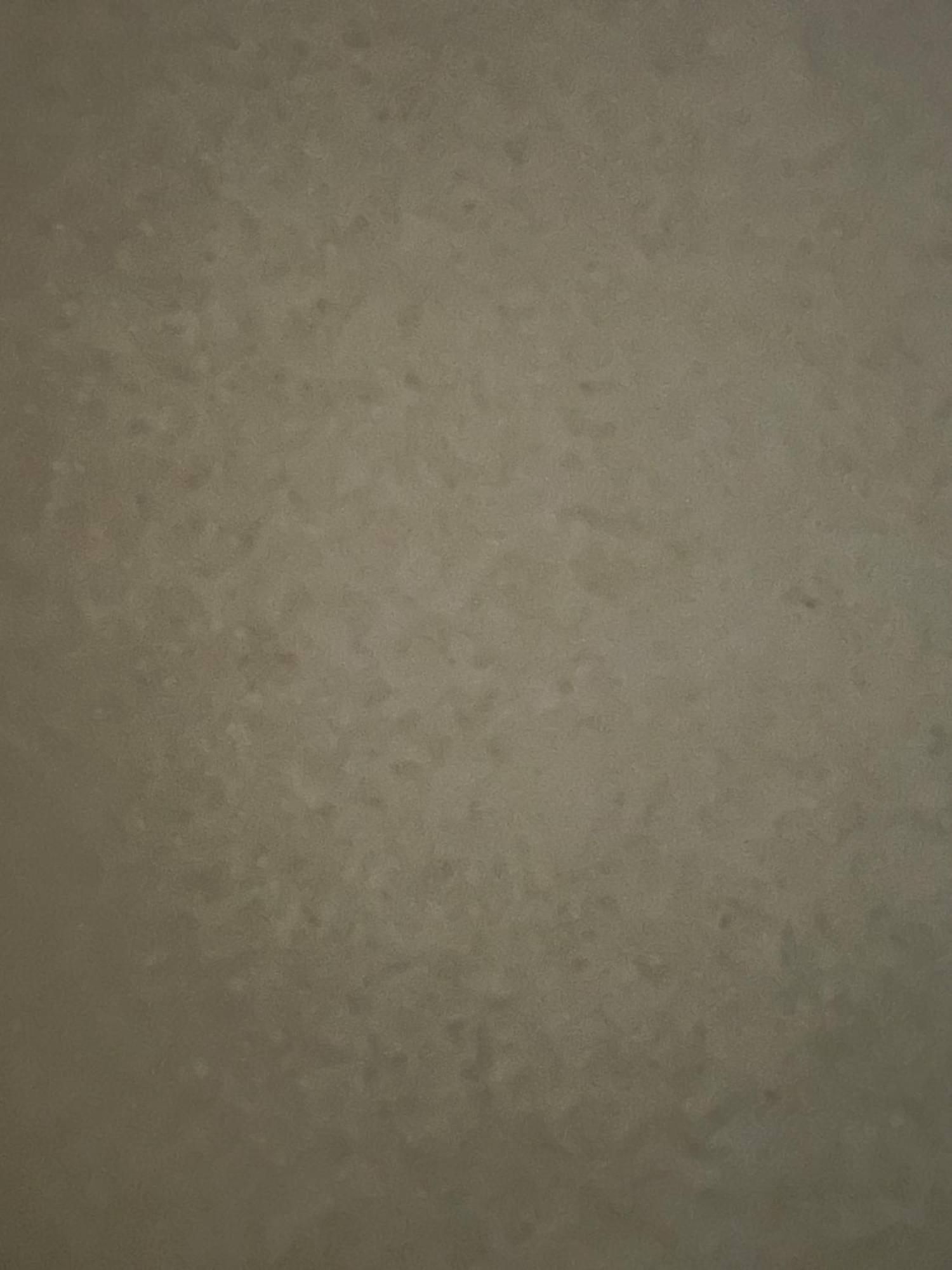 Your Home From Home لندن المظهر الخارجي الصورة